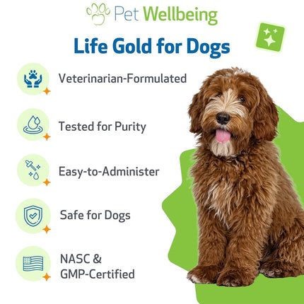 Life Gold for Dogs & Cats - Supports Detoxification, Immune System Health, Antioxidants - Vet-Formulated Herbal Supplement – 4 oz (118 ml)