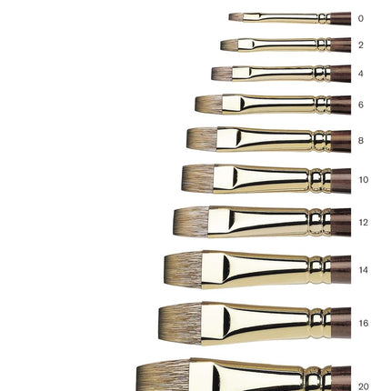 Winsor & Newton 5502012 Brush – Clear x 20 x 2 cm