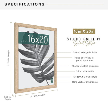 MCS Industries Inc 63732 16x20 Inch Studio Gallery, Natural Woodgrain Frames, 16x20