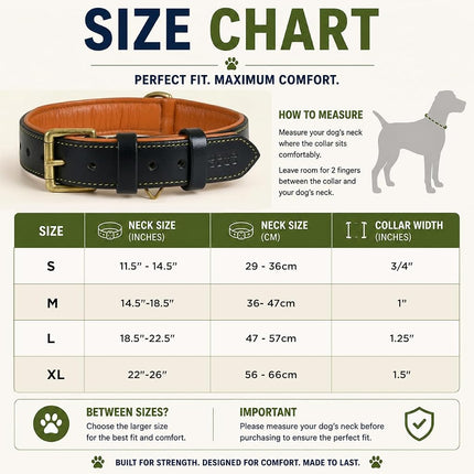 DowgClub Leather Dog Collar | Leather Collar for XL Dogs, 1.5 Inch Wide Black Dog Collar | Genuine, Full Grain, Heavy Duty, Comfortable, Inner Soft Padding (XL (Neck Size 22.5"-25.5"), Black)