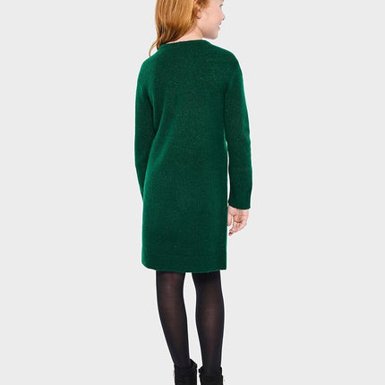 The Children's Place Girls' Long Sleeve Sweater Dress, Beaded Spruceshad, Large