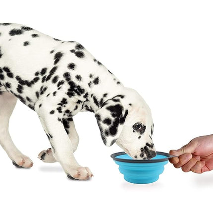 Dexas Popware for Pets Collapsible Travel Cup, Large, Gray/Blue