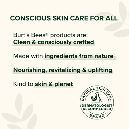 Burt's Bees – Baume à Lèvres à l'Aloès et au Beurre de Karité pour les Bas de Noël, Formule Riche en Vitamines Antioxydantes qui Conserve la Brillance