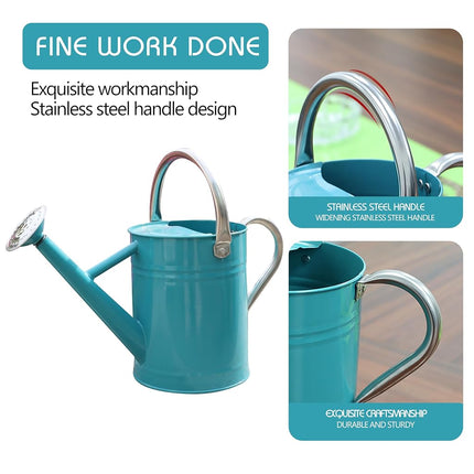 SunnyTong Metal Watering Can for Outdoor and Indoor Plants, Watering Can Decor, 1 Gallon (Leaf-Green)