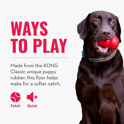 KONG - Puppy Flyer - Teething Rubber, Flying Disc Dog Toy (Assorted Colours) - for Small Puppies