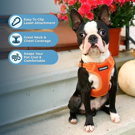 Best Pet Supplies Voyager Adjustable Dog Harness Leash Set with Reflective Stripes for Walking Heavy-Duty Full Body No Pull Vest with Leash D-Ring, Breathable All-Weather - Harness (Orange), S