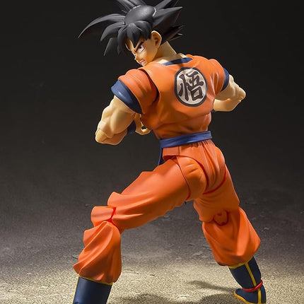 TAMASHII NATIONS Bandai BDIDB208778 Articulated Figure, Manga, Anime, Multicolor