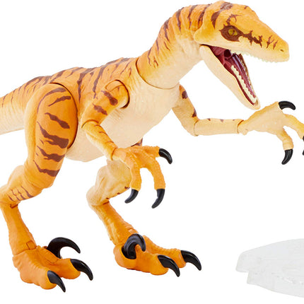 Jurassic World Amber Collection Tiger Velociraptor 6-in Dinosaur Action Figure, Movie-authentic Detail, Movable Joints & Figure Display Stand, Collectible Gift 8 Years & Up