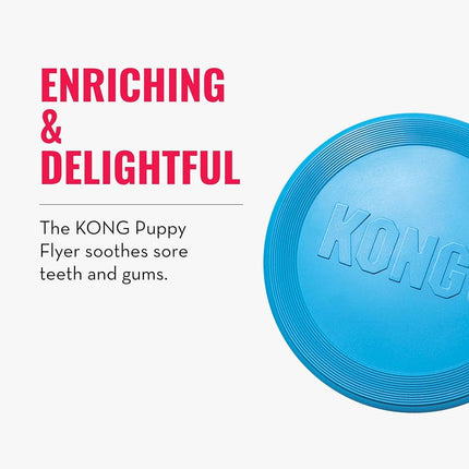 KONG - Puppy Flyer - Teething Rubber, Flying Disc Dog Toy (Assorted Colours) - for Small Puppies
