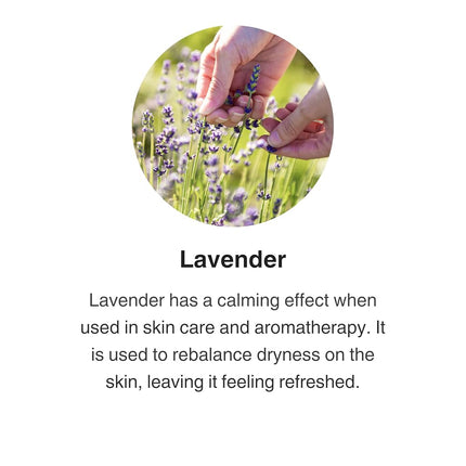 Jurlique Comforting Lavender Body Lotion/Hydrating Body Moisturiser, 300ml