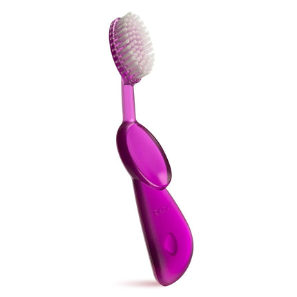 RADIUS Toothbrush Original Big Brush with Replaceable head, BPA Free ADA Accepted - Right Hand - Purple Brush with Purple Case