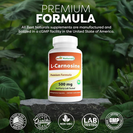 Best Naturals L-Carnosine 500 mg 100 Vcaps (100 Count (Pack of 3))
