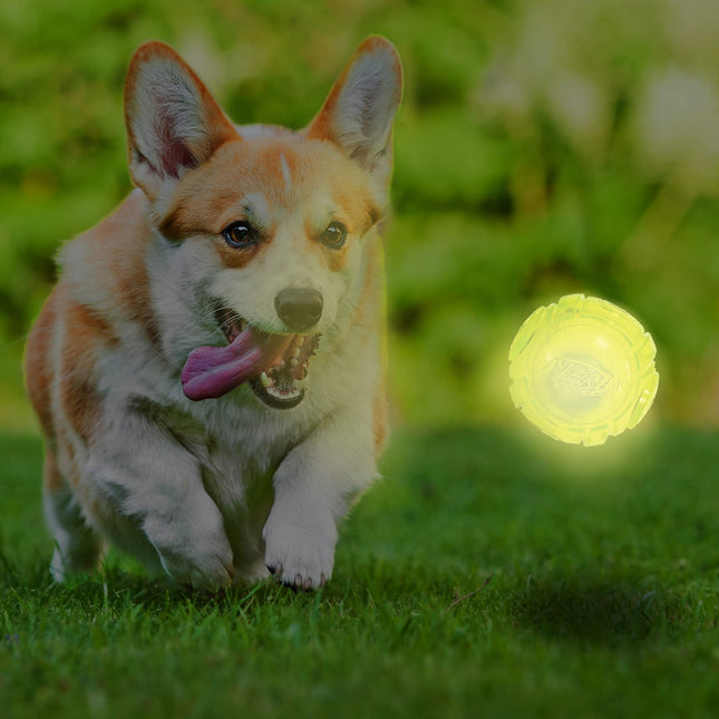 Juguete de pelota Nerf Dog Glow para perro con LED interactivo, ligero, duradero y resistente al agua, 2.5 pulgadas, para razas pequeñas/medianas/grandes, unidad individual, sin color