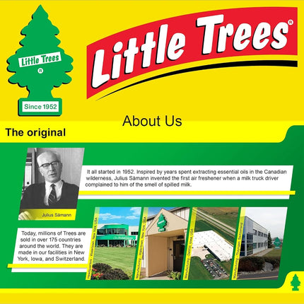 Little Trees Car Air Freshener | Hanging Paper Tree for Home or Car | Black Ice | 3 Pack