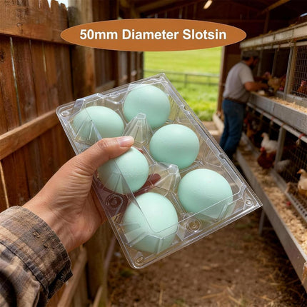 Egoaugx Clear Plastic Duck Turkey Jumbo Egg Storage Container, 6-Cell Cartons for Large Eggs, Reusable Refrigerator Tray (75)