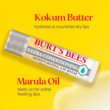 Burt's Bees Lip Balm Easter Basket Stuffers, Moisturising Lip Care, 100% Natural, Ultra Conditioning with Shea, Cocoa & Kokum Butter (Pack of 4)