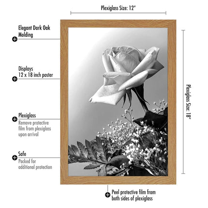 Americanflat 12x18 Poster Frame in Oak with Polished Plexiglass - Horizontal and Vertical Formats with Included Hanging Hardware