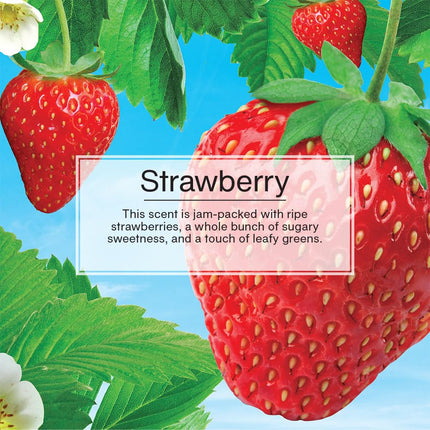 LITTLE TREES Car Air Freshener | X-tra Strength Provides Long-Lasting Scent for Auto or Home | Extra Boost of Fragrance | Strawberry, 2-Packs (12 Count)