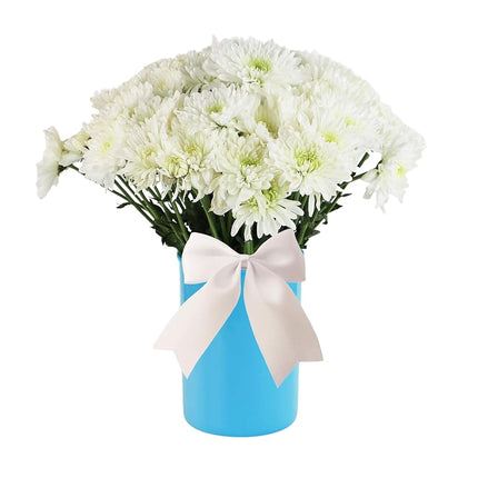 Reston Lloyd Calypso Basic Plastic Utensil Holder, Turquoise,00702