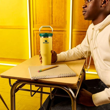 Stanley IceFlow 2.0 Flip Straw Tumbler with Handle 81oz | Twist Lid and Flip Straw | Leak Proof Water Bottle | Insulated Stainless Steel | BPA Free | Daffodil Emerald