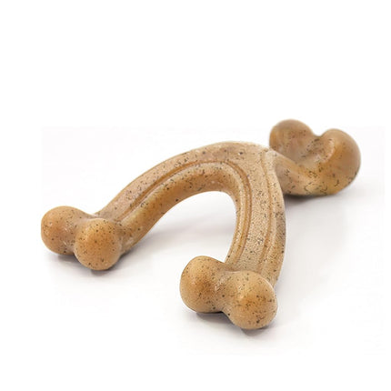 Nylabone Gourmet Style Strong Chew Wishbone Dog To