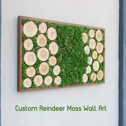 prefleur Preserved Reindeer Craft Moss Natural Green DIY Kit Gardenning Art Wall Florist Easter Table Decor Wedding(0.85lb) (White-01)