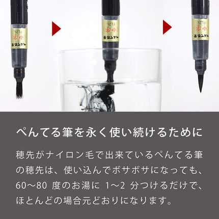 Pentel XFP Fude Penalty Rechargeable Encre Pigmentée Pointe Large