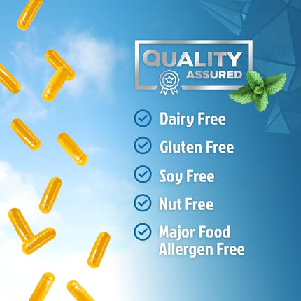 Vitamin B Complex - All B Vitamins Including B12, B1, B2, B3, B5, B6, B7, B9, Folic Acid - Natural Energy Support - High Absorption Vitamin B Supplement - 60 Capsules