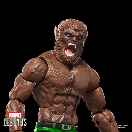 Marvel Legends Series Werewolf By Night Marvel Comics Action Figure, Dark Blue-grey