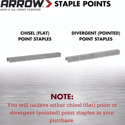 Arrow A506IP T50 Staples, Steel, 3/8 Inch (10 mm)