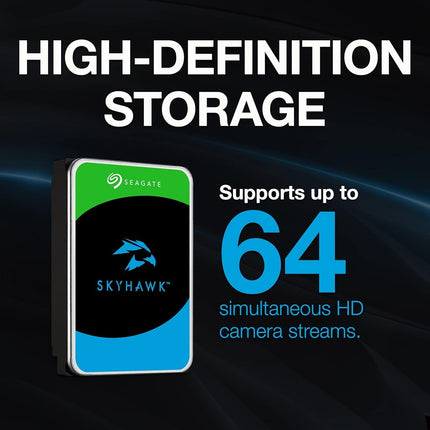 Seagate 6TB SkyHawk Internal Surveillance Drive | SATA (ST6000VXZ09)