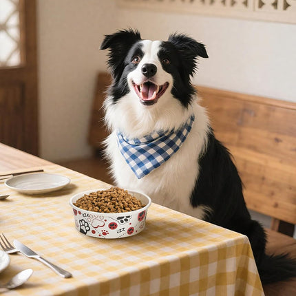 SOUJOY 60 Pcs Disposable Cat Bowls, 16 oz Pet Feeding Bowl, Foot Print Travel Dog Food Bowl for Small Dog Puppy Cat Dry and Wet Pet Food or Water