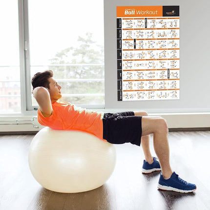 NewMe Fitness Workout Posters for Home Gym, Stability Exercise Posters for Full Body Workout, Core Abs Legs Glutes & Upper Body Training Program 1 Pack