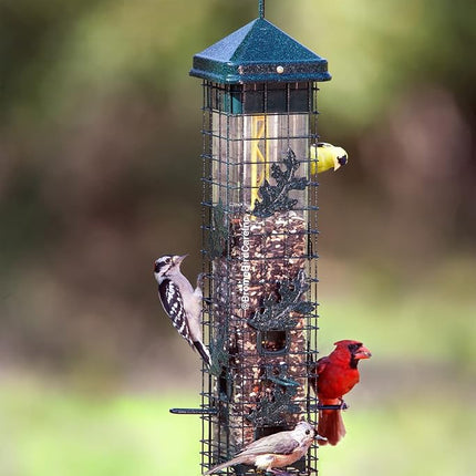 Squirrel Solution200 Squirrel-Proof Bird Feeder w/6 Feeding Ports, 3.4-Pound Seed Capacity, Free Seed Funnel