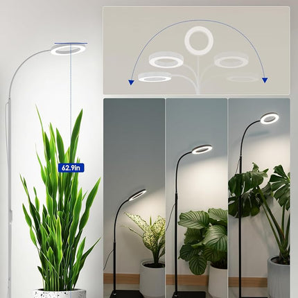 GLOWRIUM Grow Light with Stand,2-Head LED Plant Light for Indoor Plants, Full Spectrum Grow Lamp, 3/9/12H Timer, 6 Dimmable Levels, 3 Lighting Mode, Adjustable Height White 36W