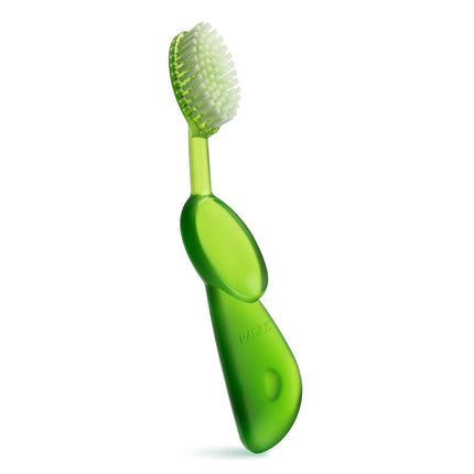 RADIUS Toothbrush, Original Big Brush & Case with Replaceable head, Right Handed, Green Brush with Green Case, BPA Free and ADA Accepted