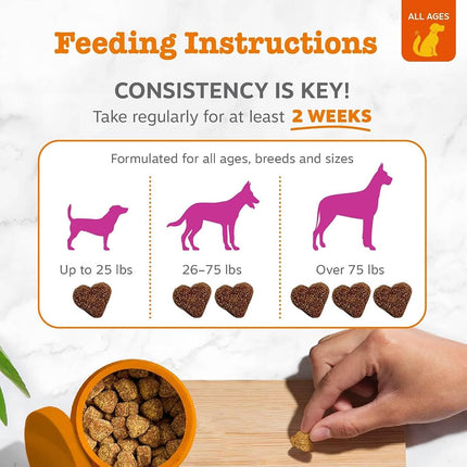 Zesty Paws New Zealand Green Lipped Mussel Chewable Treats for Dogs - with Glucosamine & Chondroitin + Omega-3 Fatty Acids & Protein - 500 Mg Dog Hip & Joint Support Supplement Soft Chews - 90 Count