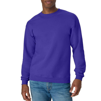 Hanes Men's Ecosmart Sweatshirt, Purple, XXL UK