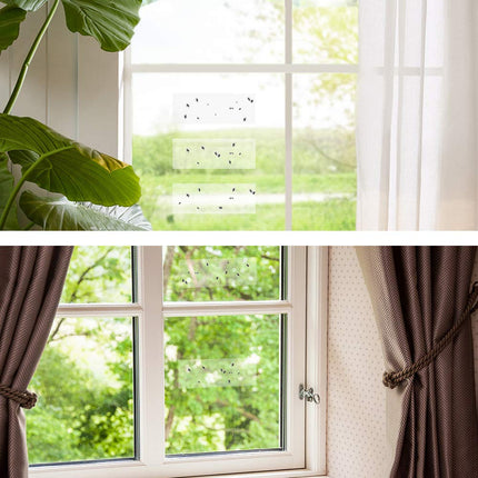 Kensizer Bug & Fly Clear Window Fly Traps - Pack of 20 Traps