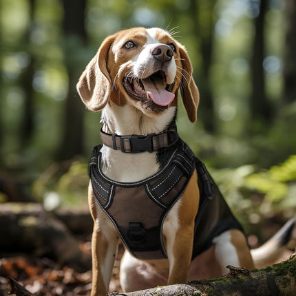 Joytale Reflective Dog Collar, Adjustable Neoprene Padded, Brown L