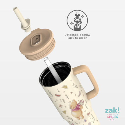 Zak Designs Disney Winnie The Pooh Sutton Travel Tumbler for On The Go, 30oz Stainless Steel with Vacuum Insulation, Silicone Straw, and Carry Handle for Cold Drinks (Pooh and Friends)
