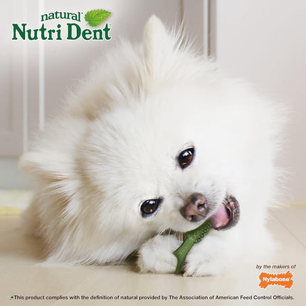 Nylabone Nutri Dent Fresh Breath 78Count Pouch