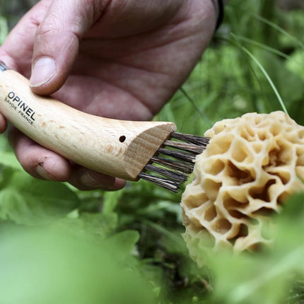 Opinel No. 08 Mushroom Knife – Pick + Clean Mushrooms, Beechwood Handle, Integrated Brush, Curved Sandvik Steel Blade, Made in France