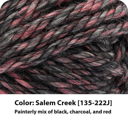 Lion Brand Yarn 135-222-3 Yarn, 3-Pack, Salem Creek 3 Pack