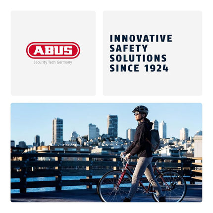 ABUS chain lock 1500 Web - bicycle lock made of special steel - 4 mm thick round chain - security level 3
