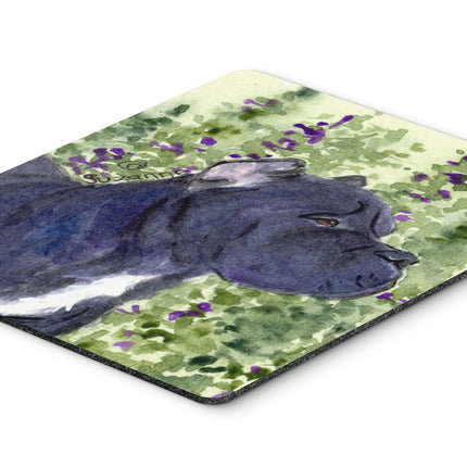 Caroline's Treasures Mouse/Hot Pad/Trivet, Cane Co