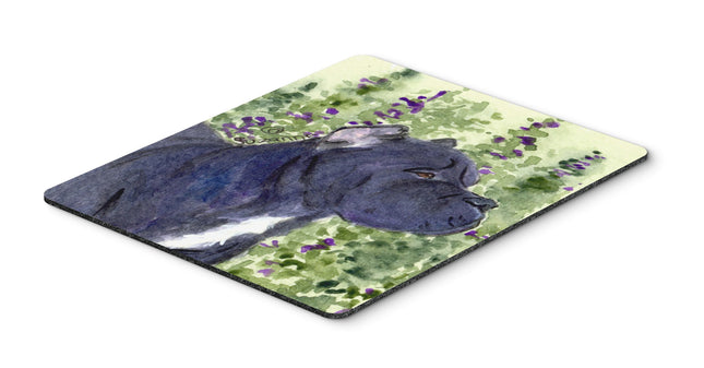 Caroline's Treasures Mouse/Hot Pad/Trivet, Cane Co