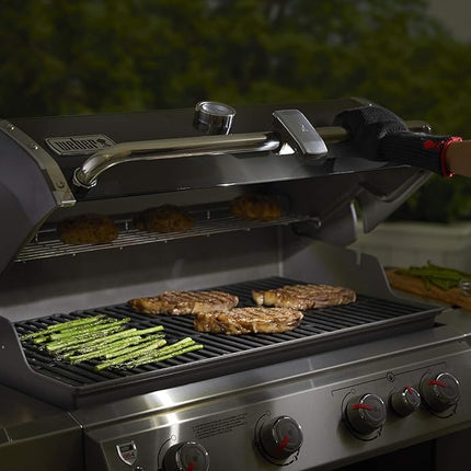 Weber 7661 Luz Grill 'N Go para Mango, Gris