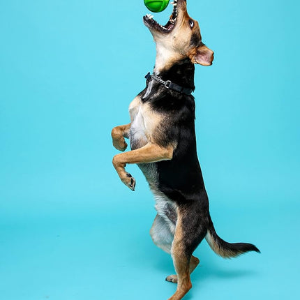 Hartz Dura Play Bacon Scented Squeak Ball Dog Toy for Small Breeds, 3 Pack