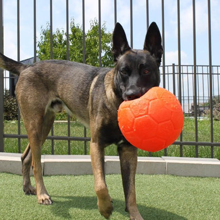 Signature Jolly Pets Jolly Soccer Ball - 8 Inch, Orange